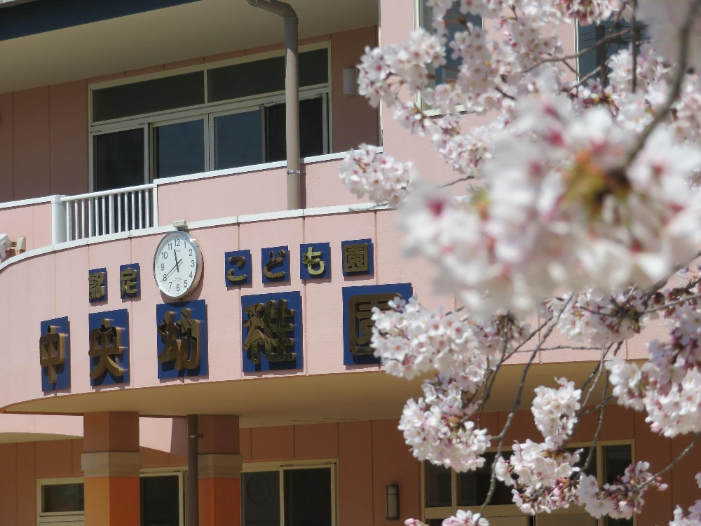🌸2025年4月入園に向けての入園説明会～願書配布中～